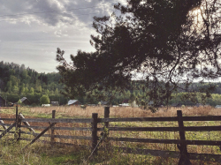 ПРЕМЬЕРА! Абсурдная комедия «Кончится лето»